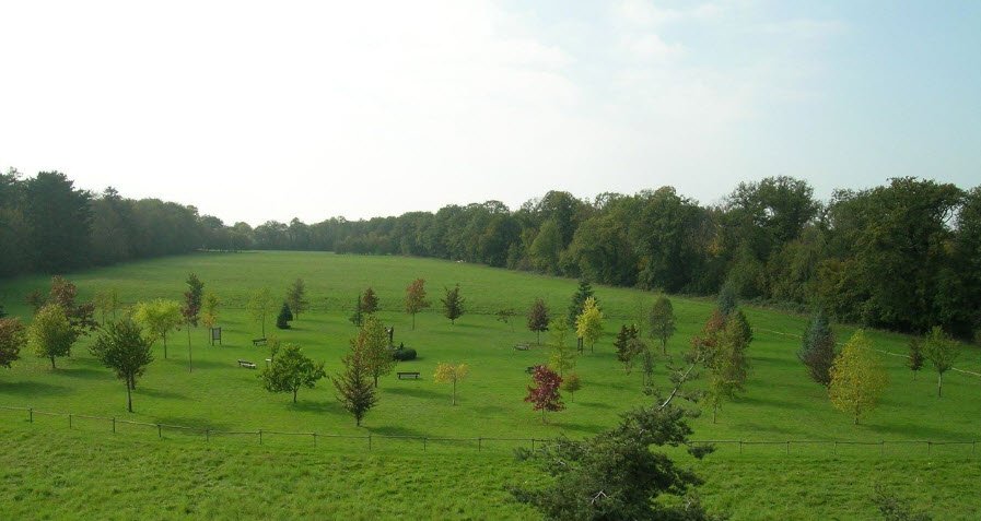 Arboretum de Ripaille, Thonon-les-Bains, France, France